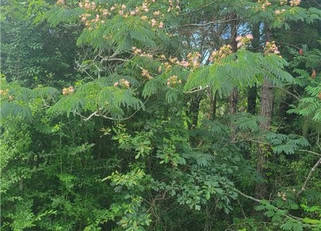 Property at 00 County Road 9, Tuskegee, AL 36083