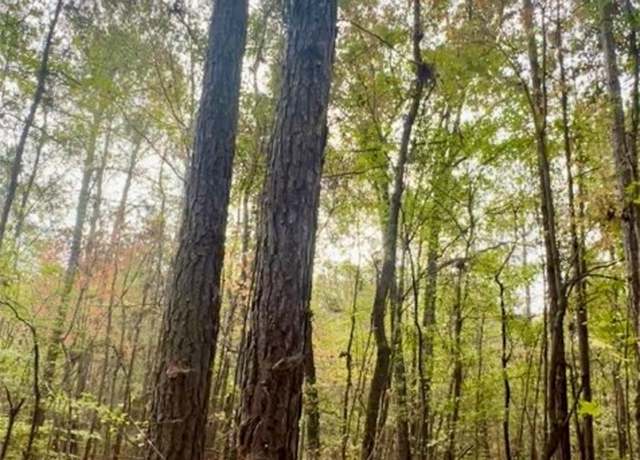 Property at 10684 Highway 22, New Site, AL 36256