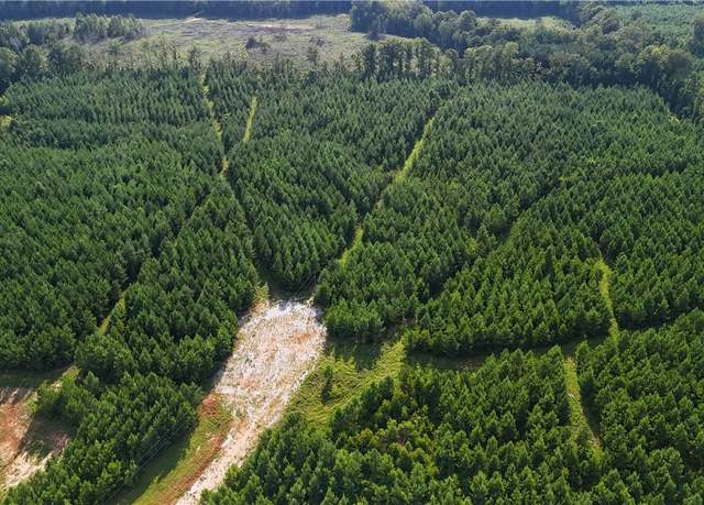 Property at 0 Berry Ln, Dadeville, AL 36853