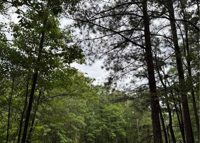Property at 0 State Hwy 188, Waverly, AL 36879