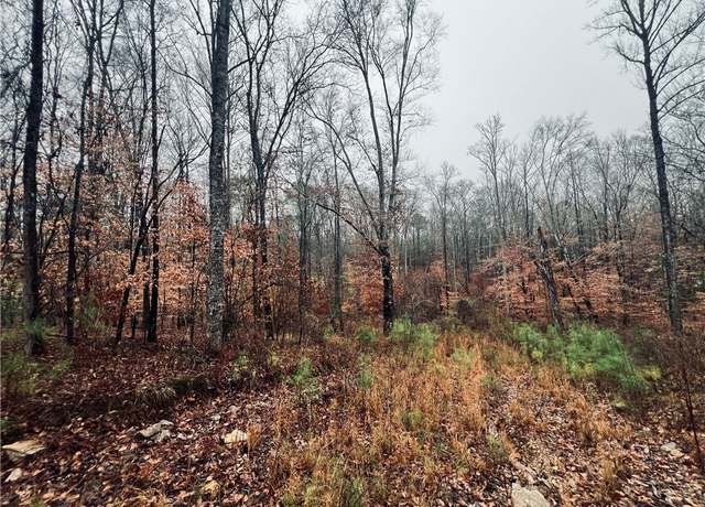 Property at 0 Lee Road 393, Auburn, AL 36832