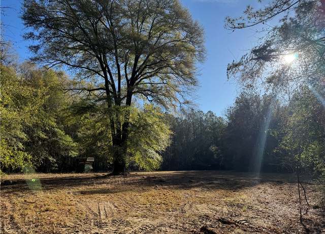 Property at 0 Lato, Seale, AL 36875