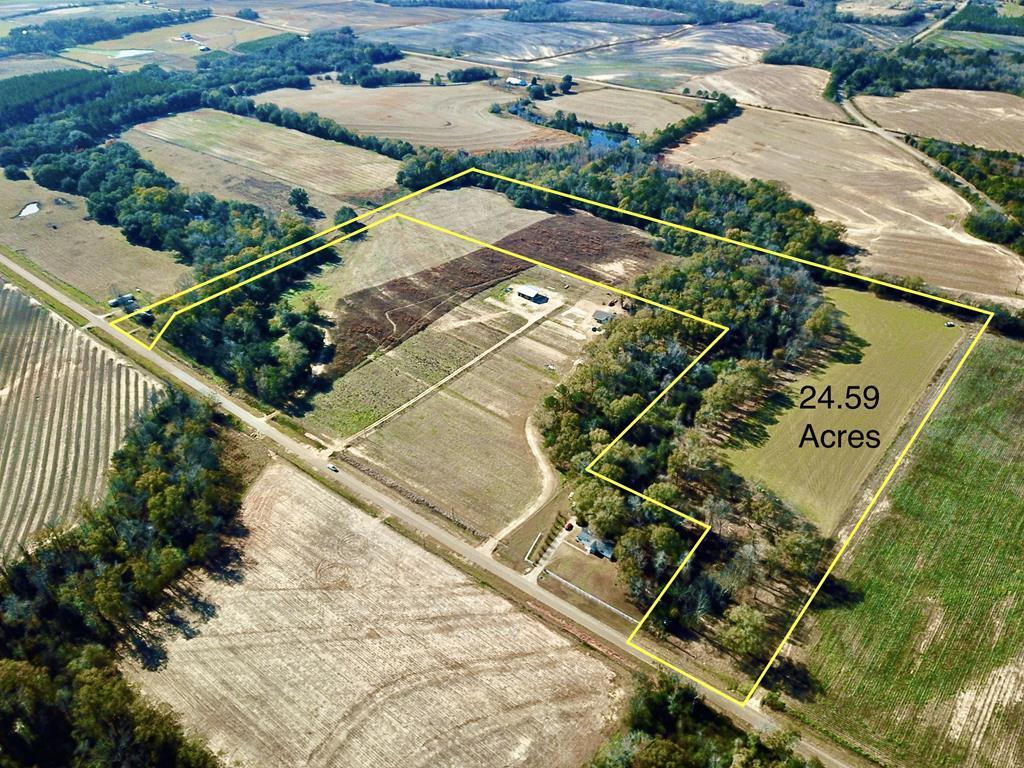 24.59 Acres Cedar Spgs, Ashford, AL 36312 | MLS# 195975 | Redfin