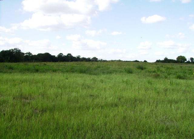 Property at 0000 Peach Farm Rd, Ashford, AL 36312
