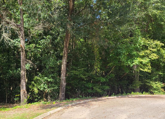 Property at 0 Alcuri Dr Lot 13, Ozark, AL 36360
