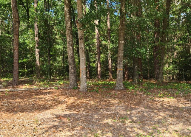 Property at 0 Alcuri Dr Lot 15, Ozark, AL 36360