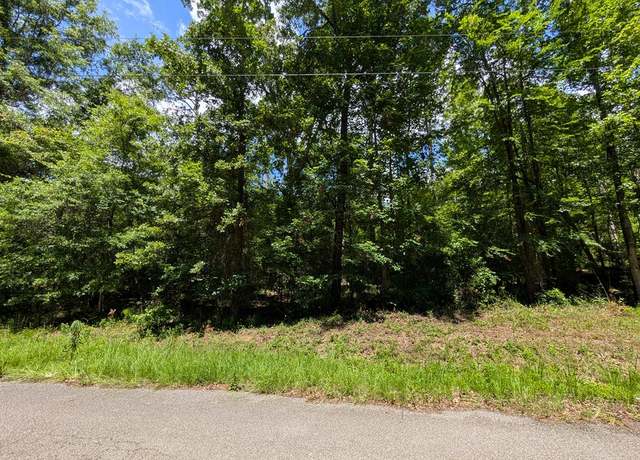 Property at Lot 507 Lakeshore Dr, Abbeville, AL 36310