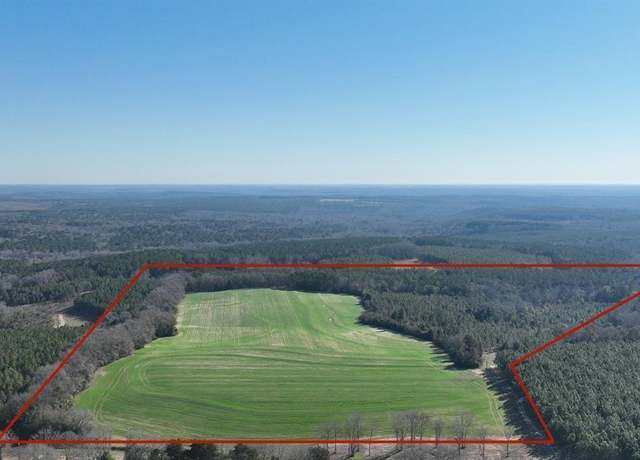 Property at 5672 County Road 69, Skipperville, AL 36360