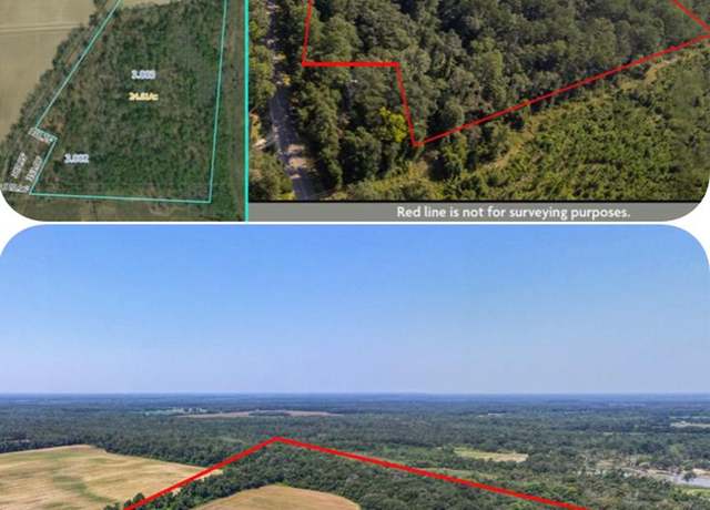 Property at 0 Mount Zion Rd, Cottonwood, AL 36320