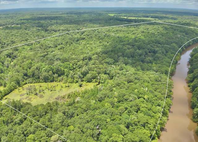 Property at 103 acres Westmont St, Geneva, AL 36340