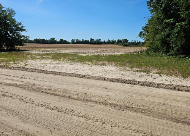 Property at 0 Holton Rd, Gordon, AL 36343