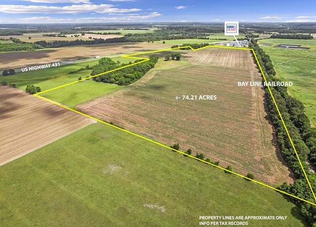 Property at 74 Acres Hwy 431, Headland, AL 36345