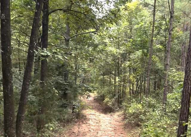Property at 000 County Road 6645, Banks, AL 36005