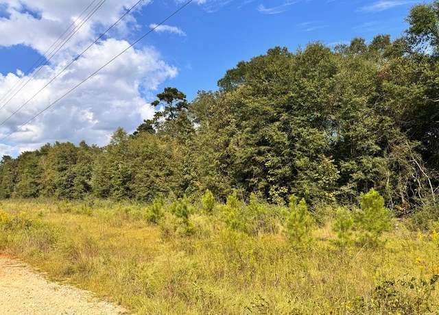 Property at 0 Hwy 123 & Co Rd 30, Newton, AL 36352