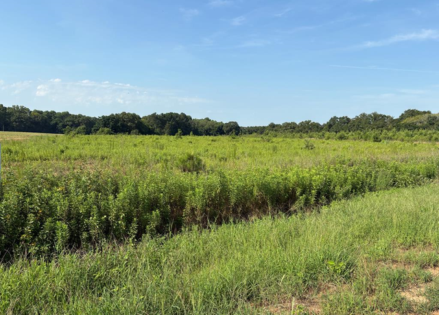 Property at 0 Judge Logue Rd, Newton, AL 36352