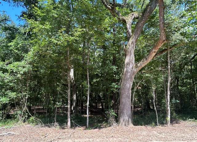 Property at 19.16+-ac Ramer Loop Rd/ Kimble Rd, Cottonwood, AL 36320