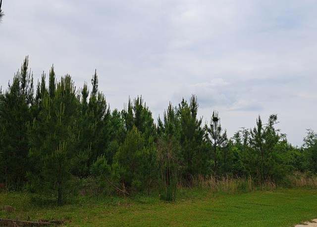 Property at Undisclosed address, Gordon, AL 36343