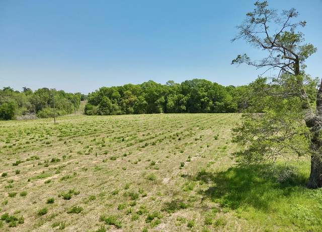 Property at 11.97 acres Omussee Rd, Dothan, AL 36303
