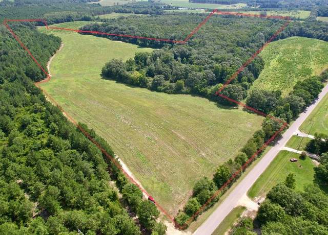 Property at 00 TBD E County Road 4, Hartford, AL 36344