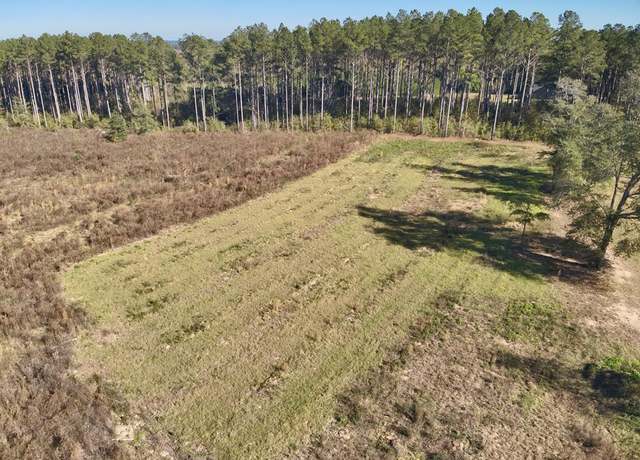 Property at 18.5 ACRES County Road 45, Hartford, AL 36340