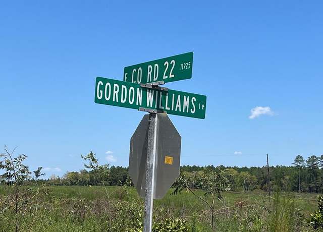 Property at Lot # 4 Gordon Williams Rd, Columbia, AL 36319