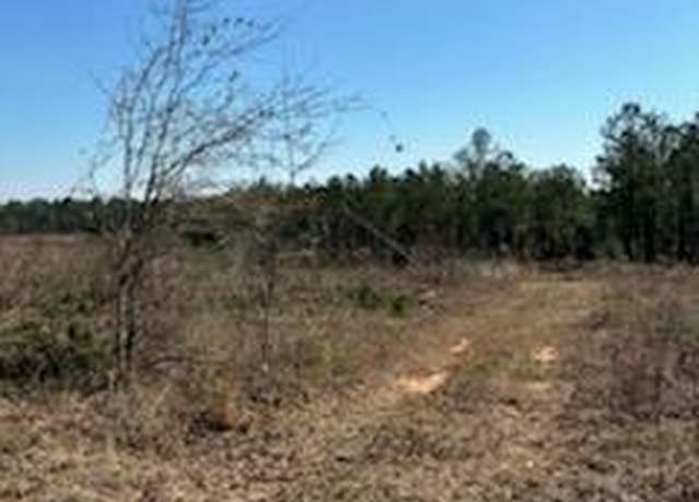 Property at 17.5ac County Rd 67, Clopton, AL 36317
