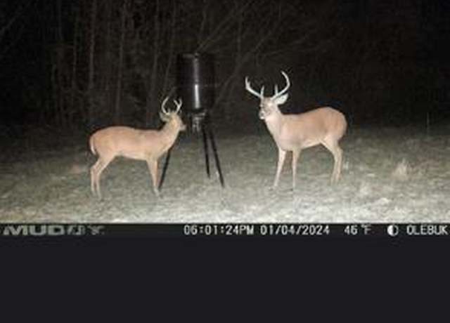 Property at 35ac County Rd 67, Clopton, AL 36317