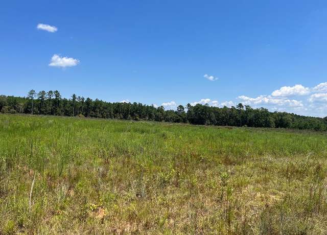 Property at Lot # 9 County Road 22, Columbia, AL 36319