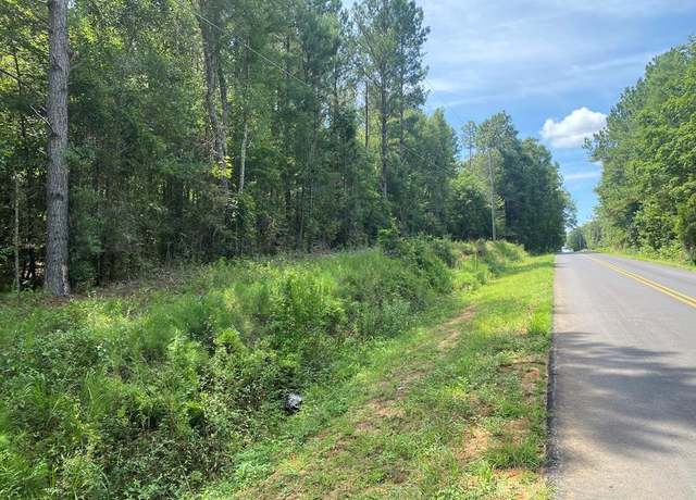 Property at 0 Drew Rd & Huskey Rd, Dothan, AL 36303