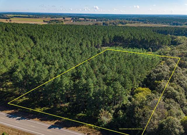 Property at 3.34 Acres Highway 167, Hartford, AL 36344