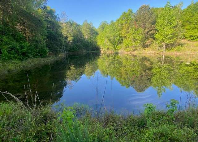 Property at Approx 44 acres County Rd 67, Midland City, AL 36350