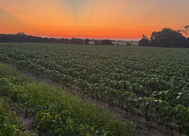 Property at 0 Hollis Dairy Rd, Newton, AL 36352