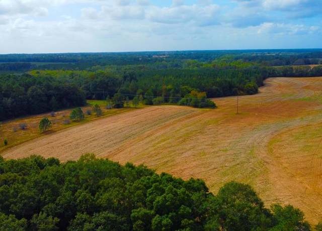 Property at 0 County Road 33, Headland, AL 36345