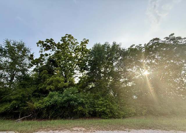 Property at 550 County Road 268, Newville, AL 36353