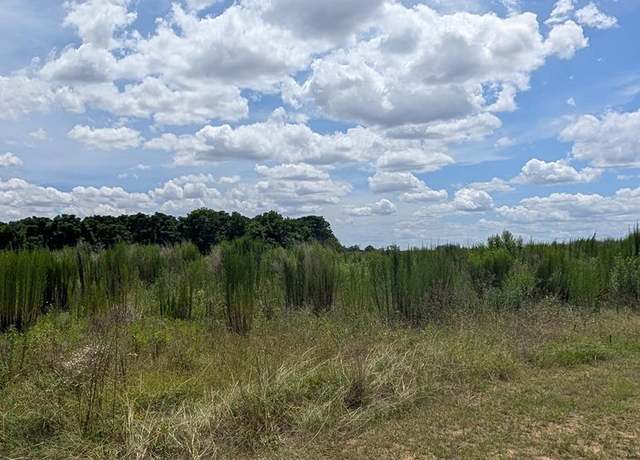Property at 0 County Road 19, Headland, AL 36345