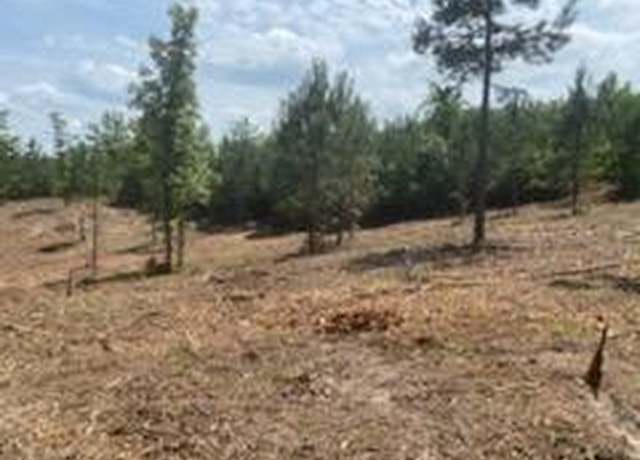 Property at 0 Englewood Dr, Abbeville, AL 36310