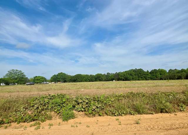 Property at 0 H Merritt Rd, Slocomb, AL 36375
