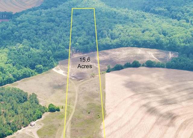 Property at 681 Cobb Rd 15.6 Acres, Rehobeth, AL 36301