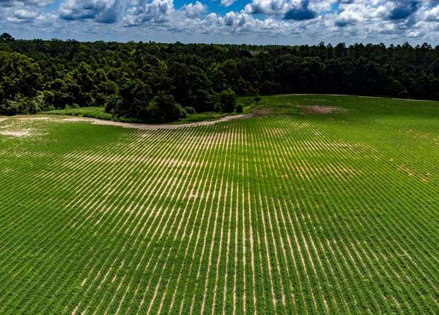 Property at 01 State Line Rd, Cottonwood, AL 36320