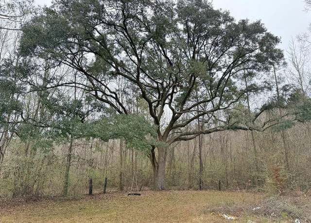 Property at 0 Freddie Whiddon Rd, Webb, AL 36376