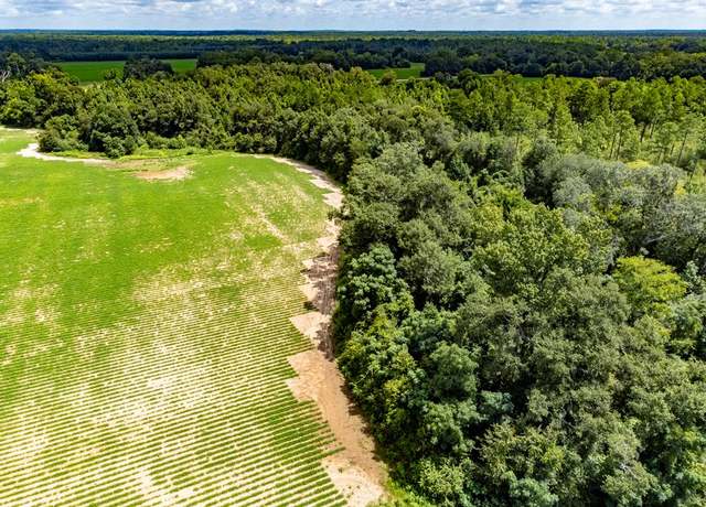 Property at 02 State Line Rd, Cottonwood, AL 36320
