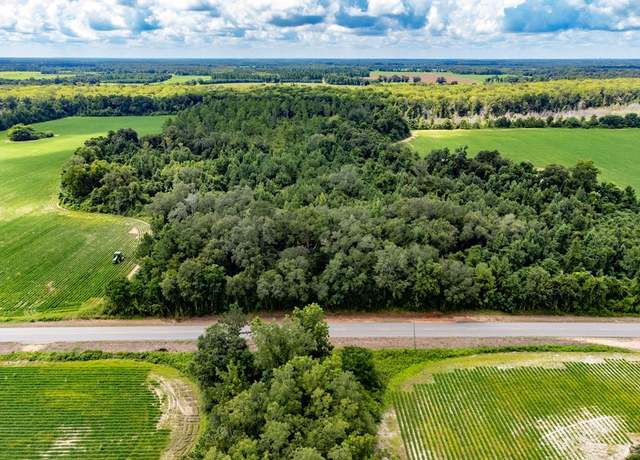 Property at 03 State Line Rd, Cottonwood, AL 36320