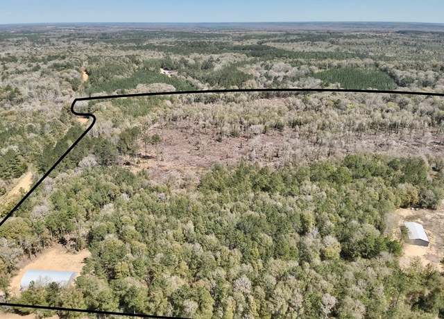 Property at 2326 Campbell Hill Rd, Chancellor, AL 36316