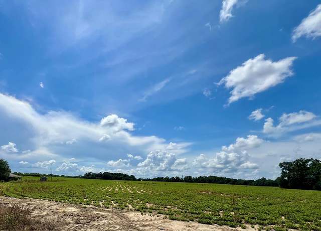 Property at 000 36 Acres Rice Rd, Taylor, AL 36301
