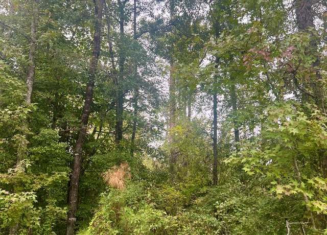 Property at 0 Douglas Dr, Abbeville, AL 36310