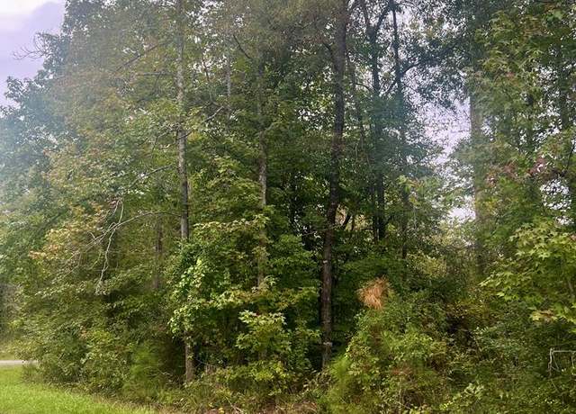 Property at 0 Douglas Dr, Abbeville, AL 36310