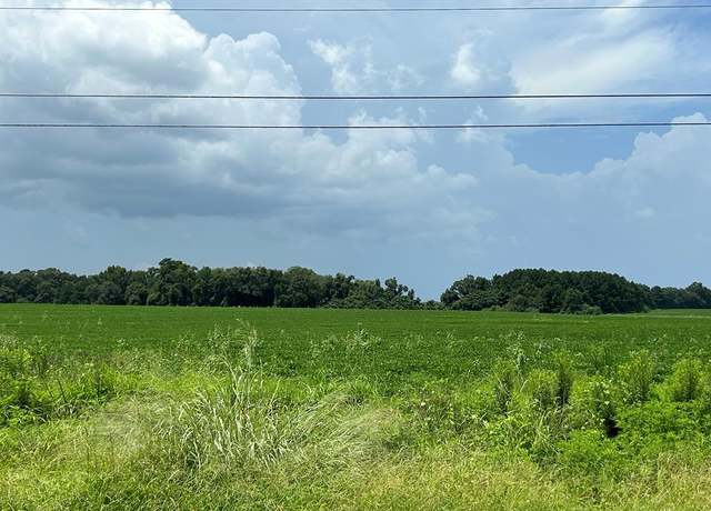 Property at 76.47+-ac Eddins Rd, Dothan, AL 36301
