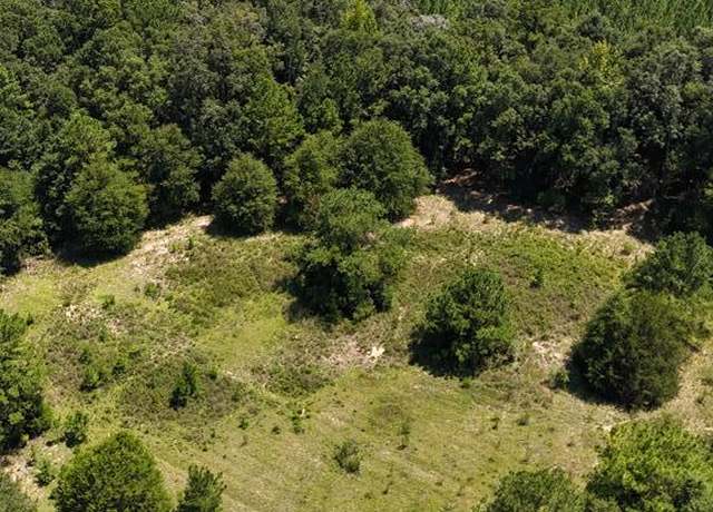 Property at 0 Lot 3 State Highway 27, Newville, AL 36353