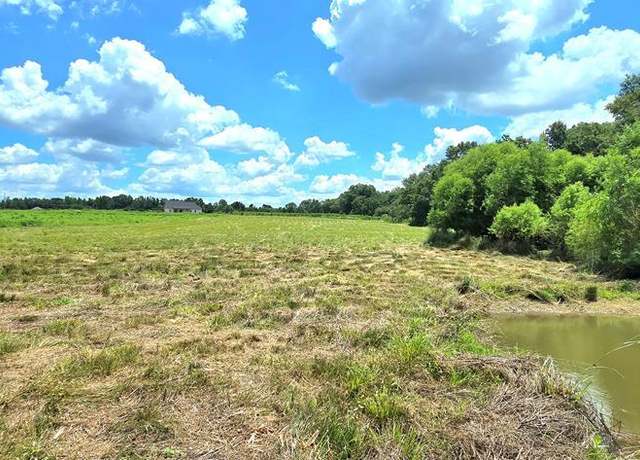 Property at 3.347 Acres County Rd 91, Slocomb, AL 36375