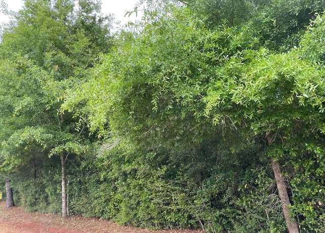 Property at 0 Private Road 1705, Enterprise, AL 36330